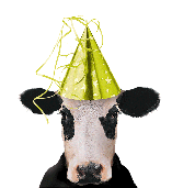 PartyHat.gif