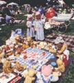 5picnic.jpg (13568 bytes)