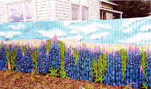 A small reserve at the corner of Stanmore Road and Tuam Street has been brightened up with an unauthorised mural of delphiniums