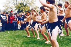 A group of boys give their all in a cultural display