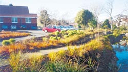 landscaped gardens behind the Shirley Community Centre