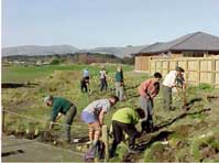 Conservation Week was celebrated in late July with a planting near the new Wairoa St car park. Approximately 50 people arrived with shovels in hand, and planted 1000 trees. 