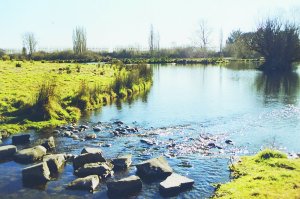 Stepping stones accross a stream at Styx Mill Reserve