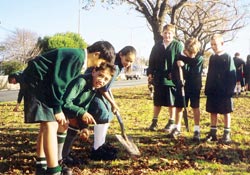 Linwood Intermediate School pupils planting bulbs