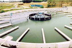 Flow from the aeration tank passes into the centre of this clarifier