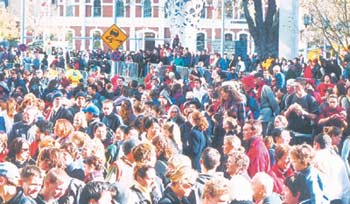 Flush with success:Tens of thousands of city people urned out to celebrate our Super 12 rugby teams victory. Good on them.